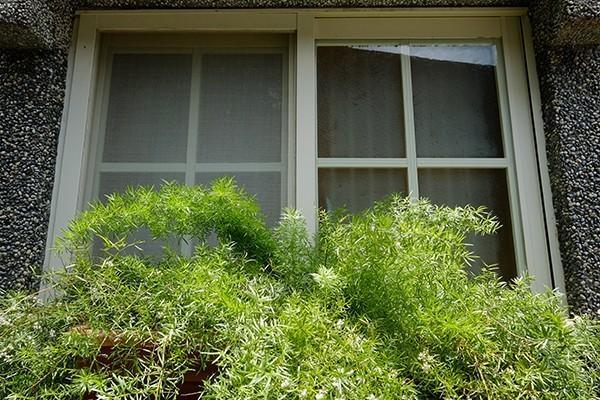 Wensing House Ξενοδοχείο Jiufen Εξωτερικό φωτογραφία